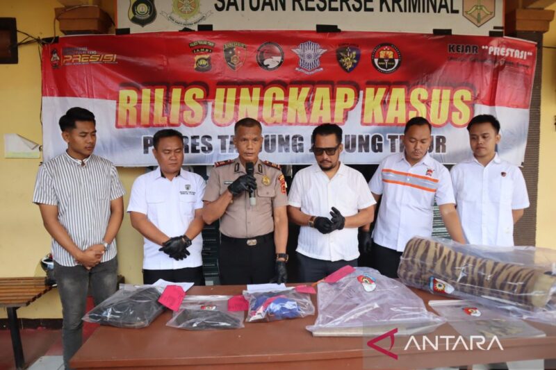 Polisi menggelar rilis ungkap kasus penjualan kulit harimau sumatra (Panthera tigris sumatrae) di hadapan wartawan di Polres Tanjab Timur, Rabu (15/7/2026).(poto: ANTARA).