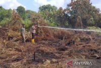 Petugas melakukan pendinginan pasca-kebakaran lahan di wilayah perbatasan Kabupaten Muaro Jambi Musi Banyu Asin, Kamis (16/7/2026).(poto: ANTARA).