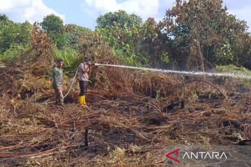 Petugas melakukan pendinginan pasca-kebakaran lahan di wilayah perbatasan Kabupaten Muaro Jambi Musi Banyu Asin, Kamis (16/7/2026).(poto: ANTARA).