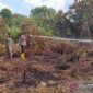 Petugas melakukan pendinginan pasca-kebakaran lahan di wilayah perbatasan Kabupaten Muaro Jambi Musi Banyu Asin, Kamis (16/7/2026).(poto: ANTARA).