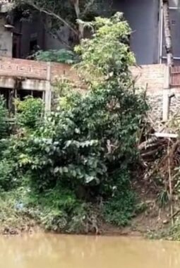 BPBD Tebo Usulkan Pembangunan Pengaman Tebing Sungai Batanghari