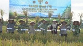 Pangdam XX/TIB bersama Gubernur Jambi sukses menggelar panen raya padi serentak nasional virtual di Tanjung Jabung Timur.(poto: jamberita.com).
