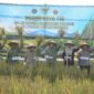 Pangdam XX/TIB bersama Gubernur Jambi sukses menggelar panen raya padi serentak nasional virtual di Tanjung Jabung Timur.(poto: jamberita.com).