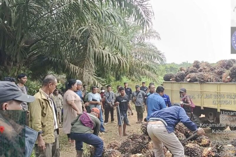 Manajemen, tim pengamanan, dan karyawan Kebun Sei Berlian PTPN IV Regional III saat berhadapan dengan oknum pelaku panen liar di Kebun Sei Berlian.(poto: kompas.com).