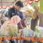 Mahasiswa UNJA memberikan pendampingan intensif kepada hampir 100 pelaku UMKM untuk mengurus Nomor Induk Berusaha (NIB) serta sertifikat halal.( poto: jamberita.com).