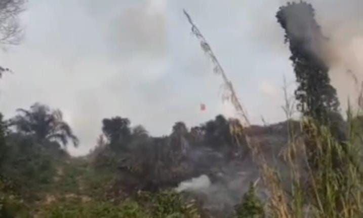 Kebakaran lahan di Tebo melahap tiga hektare area Semambu.([poto: jambiprima.com).
