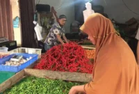 Ilustrasi Harga cabai Jambi hari ini mengalami perubahan di dua pasar utama Kota Jambi, yakni Pasar Angso Duo dan Pasar Aur Duri, Jumat (3/7/2026).( poto : tribunjambi.com )