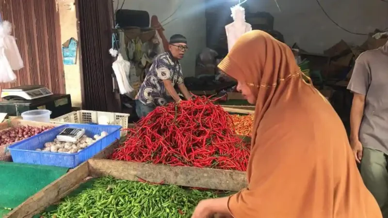 Ilustrasi Harga cabai Jambi hari ini mengalami perubahan di dua pasar utama Kota Jambi, yakni Pasar Angso Duo dan Pasar Aur Duri, Jumat (3/7/2026).( poto : tribunjambi.com )
