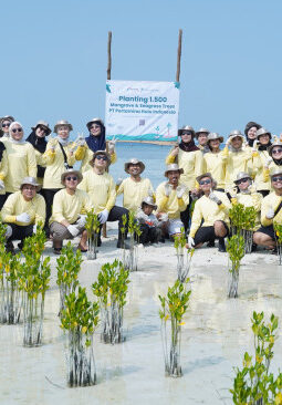 PHI Tanam 1.000 Mangrove dan Lamun di Pulau Pari untuk Karbon Biru
