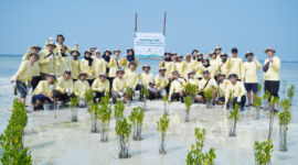 PHI menanam 1.000 bibit mangrove dan 500 bibit lamun sebagai bagian upaya rehabilitasi ekosistem pesisir di Pulau Pari, Kepulauan Seribu, pada Minggu (28/06/2026).( poto :infojambi.com )
