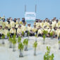 PHI menanam 1.000 bibit mangrove dan 500 bibit lamun sebagai bagian upaya rehabilitasi ekosistem pesisir di Pulau Pari, Kepulauan Seribu, pada Minggu (28/06/2026).( poto :infojambi.com )
