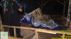 Aparat kepolisian menggerebek sebuah arena judi sabung ayam di Desa Baru Air Hangat, Kabupaten Kerinci.(poto: jambitv.co).