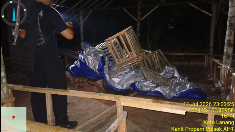 Aparat kepolisian menggerebek sebuah arena judi sabung ayam di Desa Baru Air Hangat, Kabupaten Kerinci.(poto: jambitv.co).