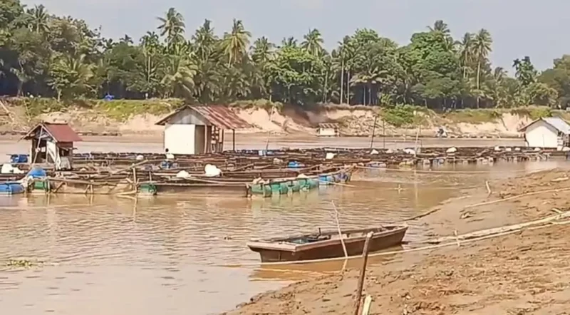 Kondisi Sungai Batanghari yang mengalami penyusutan.(poto: metrojambi.com)