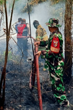 Kebakaran Lahan Sungai Buluh Hanguskan Satu Hektare Kebun Karet
