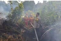 Tim Manggala Agni Daops Sumatera XII/Muara Tebo bersama Satgas Karhutla Kabupaten Tebo sukses memadamkan kebakaran lahan di Tebo, Provinsi Jambi.(poto: jambiprima.com).