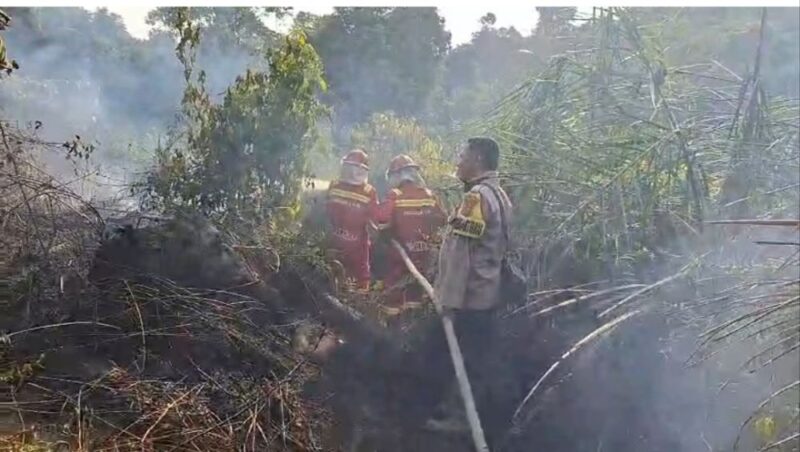 Tim Manggala Agni Daops Sumatera XII/Muara Tebo bersama Satgas Karhutla Kabupaten Tebo sukses memadamkan kebakaran lahan di Tebo, Provinsi Jambi.(poto: jambiprima.com).