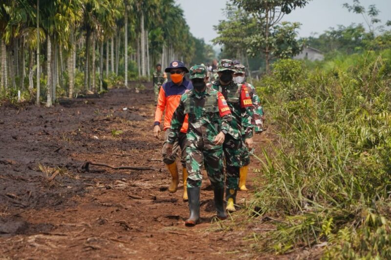 Komandan Korem 042/Gapu Brigjen TNI Nyamin memimpin langsung proses pemadaman kebakaran lahan gambut di Kecamatan Sungai Gelam, Kabupaten Muaro Jambi, Selasa (11/8/2026).(poto: jamberita.com).