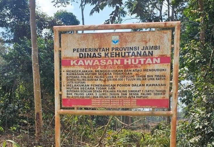 Tim gabungan menemukan dugaan perambahan hutan PT WKS seluas 10 hektare di Batang Hari.(poto: jambiprima.com).