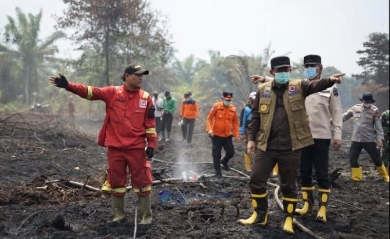 Kualitas udara Muaro Jambi mengalami penurunan sangat signifikan hingga masuk dalam kategori tidak sehat pada Minggu malam (23/8/2026).(poto: istimewa).