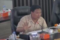 Anggota Badan Anggaran DPRD Jambi Abun Yani mendorong seluruh dinas untuk mengoptimalkan potensi pendapatan asli daerah.(poto: jamberita.com).