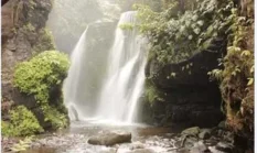 50 Pemandu Wisata Gunung Masurai Jambi Resmi Mengantongi Sertifikat BNSP untuk Keselamatan Pendaki