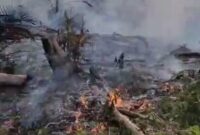 Kondisi lahan warga yang terbakar.(poto: jambiprima.com).