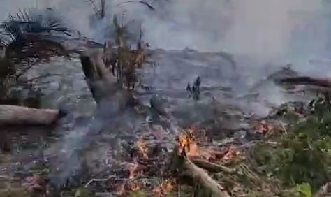 Kondisi lahan warga yang terbakar.(poto: jambiprima.com).