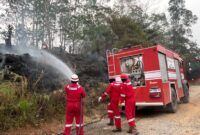 Dua hari berselang, Sabtu (22/8), tim kembali memadamkan kebakaran di Jalan Lintas Sumatera KM 34 dan kawasan SMA 5 Bajubang, Kabupaten Batanghari.(poto: jamberita.com).