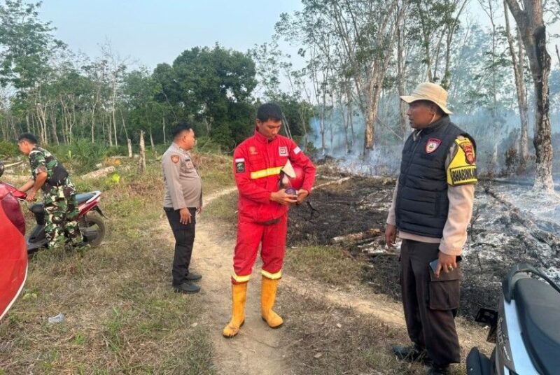 Kebakaran lahan perkebunan karet di Sarana Jaya Bungo berhasil dipadamkan tim gabungan.(poto: jambiprima.com).