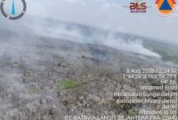 Sensor MODIS pada satelit TERRA-AQUA merekam akumulasi 335 titik panas di Provinsi Jambi selama Agustus 2026.(poto: istimewa).