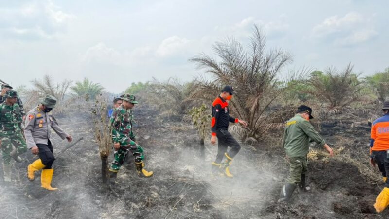 Tim gabungan bergerak cepat memperkuat penanganan Karhutla Muaro Jambi secara bersama-sama di lokasi kebakaran.(poto: jamberita.com).