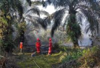 PetroChina International Jabung Ltd aktif memperkuat penanganan karhutla di Jambi secara cepat dan terpadu.(poto: jamberita.com).