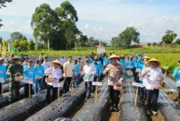 Gubernur Jambi Al Haris memimpin langsung aksi penanaman bersama jajaran forum komunikasi pimpinan daerah.(poto: ampar.id).