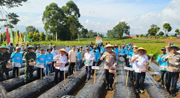 Gubernur Jambi Al Haris memimpin langsung aksi penanaman bersama jajaran forum komunikasi pimpinan daerah.(poto: ampar.id).