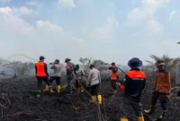 Tim Satgas Karhutla memadamkan api yang membakar lahan gambut di Sungai Gelam.(poto: jambione.com).