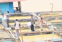 Peristiwa kematian ikan Sungai Batanghari dalam jumlah mencapai puluhan ton.(poto: jambione.com).