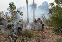 Kepolisian Daerah Jambi bersama TNI, Badan Penanggulangan Bencana Daerah, dan instansi terkait mengintensifkan langkah pencegahan kebakaran hutan dan lahan.(poto: jambilink.id).