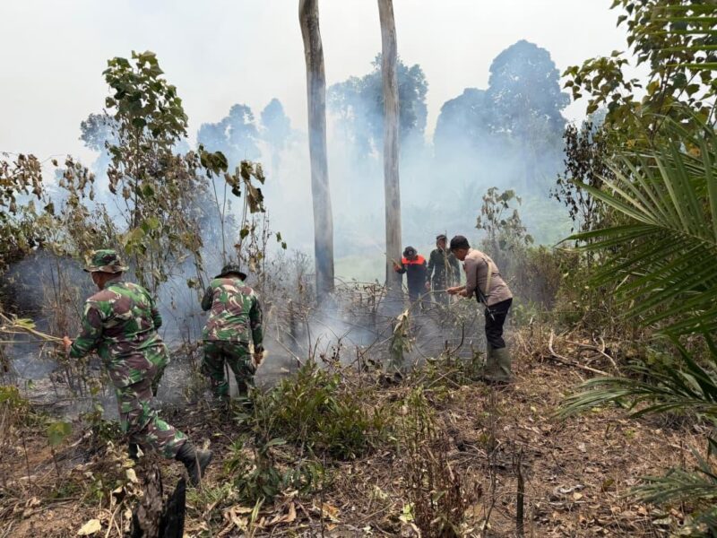 Kepolisian Daerah Jambi bersama TNI, Badan Penanggulangan Bencana Daerah, dan instansi terkait mengintensifkan langkah pencegahan kebakaran hutan dan lahan.(poto: jambilink.id).