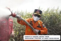 Gubernur Jambi Al Haris turun langsung di lokasi Karhutla Desa Sungai Datuk, Kecamatan Nipah Panjang, Kamis (27/8/2026).(poto: istimewa).
