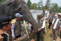 Gubernur Jambi Al Haris mendampingi Menteri Kehutanan RI Raja Juli Antoni meninjau kawasan konservasi gajah sumatera di Kabupaten Tebo dan Bungo, Senin (28/09/2026).(poto: jamberita.com).