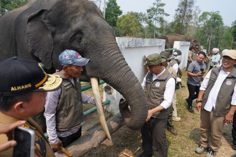 Gubernur Jambi Al Haris mendampingi Menteri Kehutanan RI Raja Juli Antoni meninjau kawasan konservasi gajah sumatera di Kabupaten Tebo dan Bungo, Senin (28/09/2026).(poto: jamberita.com).
