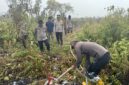 Brimob Polda Jambi semprotkan cairan x-fire padamkan kebakaran hutan di Taman Nasional Berbak Tanjung Jabung Timur.(poto: istimewa).