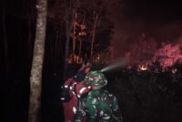 Tim gabungan Manggala Agni dan BPBD Kabupaten Muaro Jambi berhasil memadamkan peristiwa kebakaran lahan muaro jambi di RT 13 Desa Pematang Gajah, Kecamatan Jambi Luar Kota (Jaluko).(poto: jamberita.com).