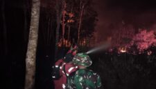 Tim gabungan Manggala Agni dan BPBD Kabupaten Muaro Jambi berhasil memadamkan peristiwa kebakaran lahan muaro jambi di RT 13 Desa Pematang Gajah, Kecamatan Jambi Luar Kota (Jaluko).(poto: jamberita.com).