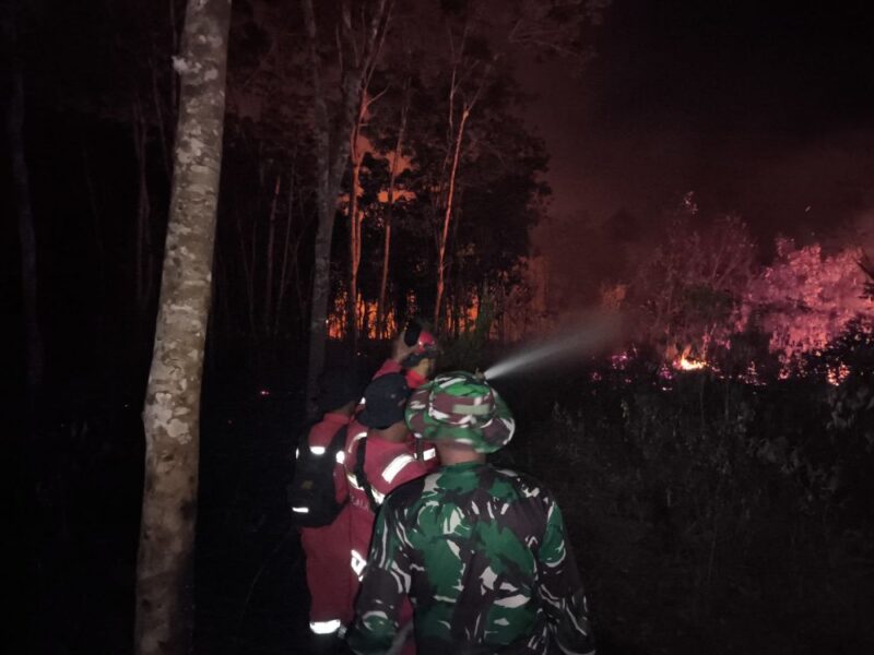 Tim gabungan Manggala Agni dan BPBD Kabupaten Muaro Jambi berhasil memadamkan peristiwa kebakaran lahan muaro jambi di RT 13 Desa Pematang Gajah, Kecamatan Jambi Luar Kota (Jaluko).(poto: jamberita.com).