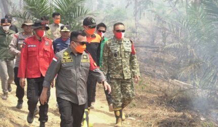 Gubernur Jambi Al Haris dan Kasiops Korem 042/Gapu meninjau lokasi penanganan Karhutla di Tahura Batang Hari untuk memastikan pemadaman cepat.