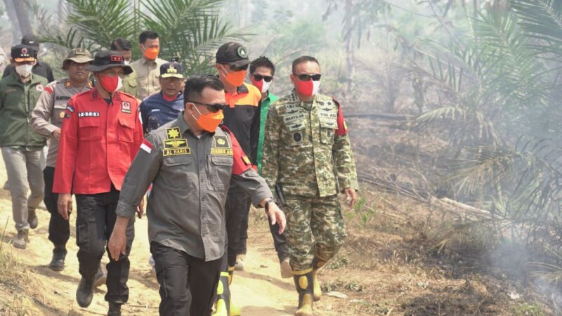 Kasiops Korem 042/Gapu Kolonel Inf Wahyu Alfiyan Arisandi mendampingi Gubernur Jambi Dr. H. Al Haris meninjau lokasi Taman Hutan Raya Sultan Thaha Syaifuddin, Kabupaten Batang Hari, pada Jumat (4/9/2026).(poto: jamberita.com).