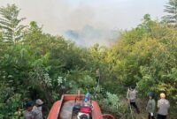 Tim gabungan Polres Merangin bergerak cepat memadamkan kebakaran lahan PT Jebus Maju di Kabupaten Merangin pada Selasa (15/9/2026).(poto: jamberita.com).