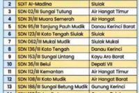 Daftar sekolah dasar unggulan di Wilayah Jambi kini resmi memuat jajaran SD terbaik di Kerinci berdasarkan hasil evaluasi kinerja pendidikan daerah.(poto: ist).